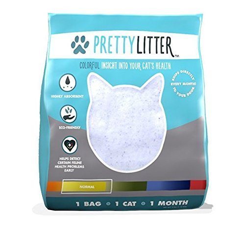 Making Cleanup Easier with Pretty Litter’s Easy-to-Use Disposal System post thumbnail image